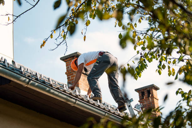 Best Roof Maintenance Services  in Newport, RI